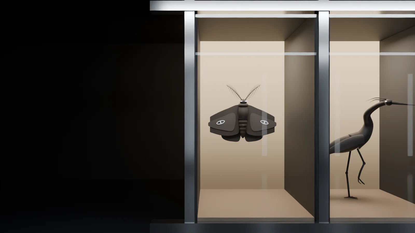 Window 01: a dark moth pinned flat to a lit back wall, two pale eye shapes on its wings.